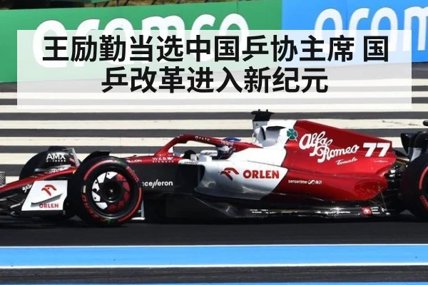 王励勤当选中国乒协主席 国乒改革进入新纪元