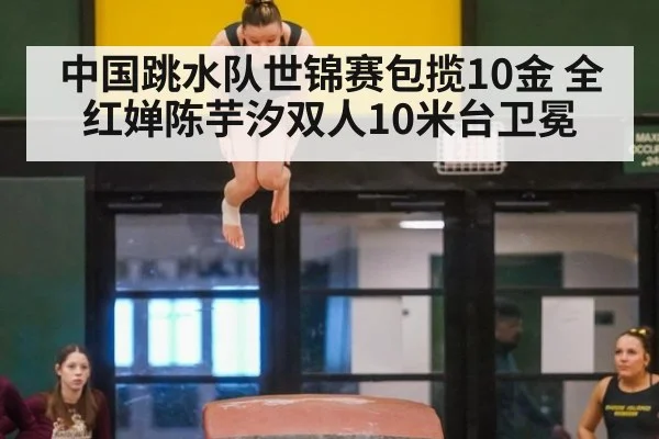 中国跳水队世锦赛包揽10金 全红婵陈芋汐双人10米台卫冕